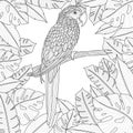 A parrot among tropical leaves. Coloring book for adults